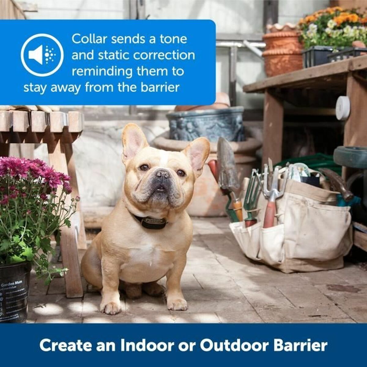 Anti-bark collar PetSafe Black noir