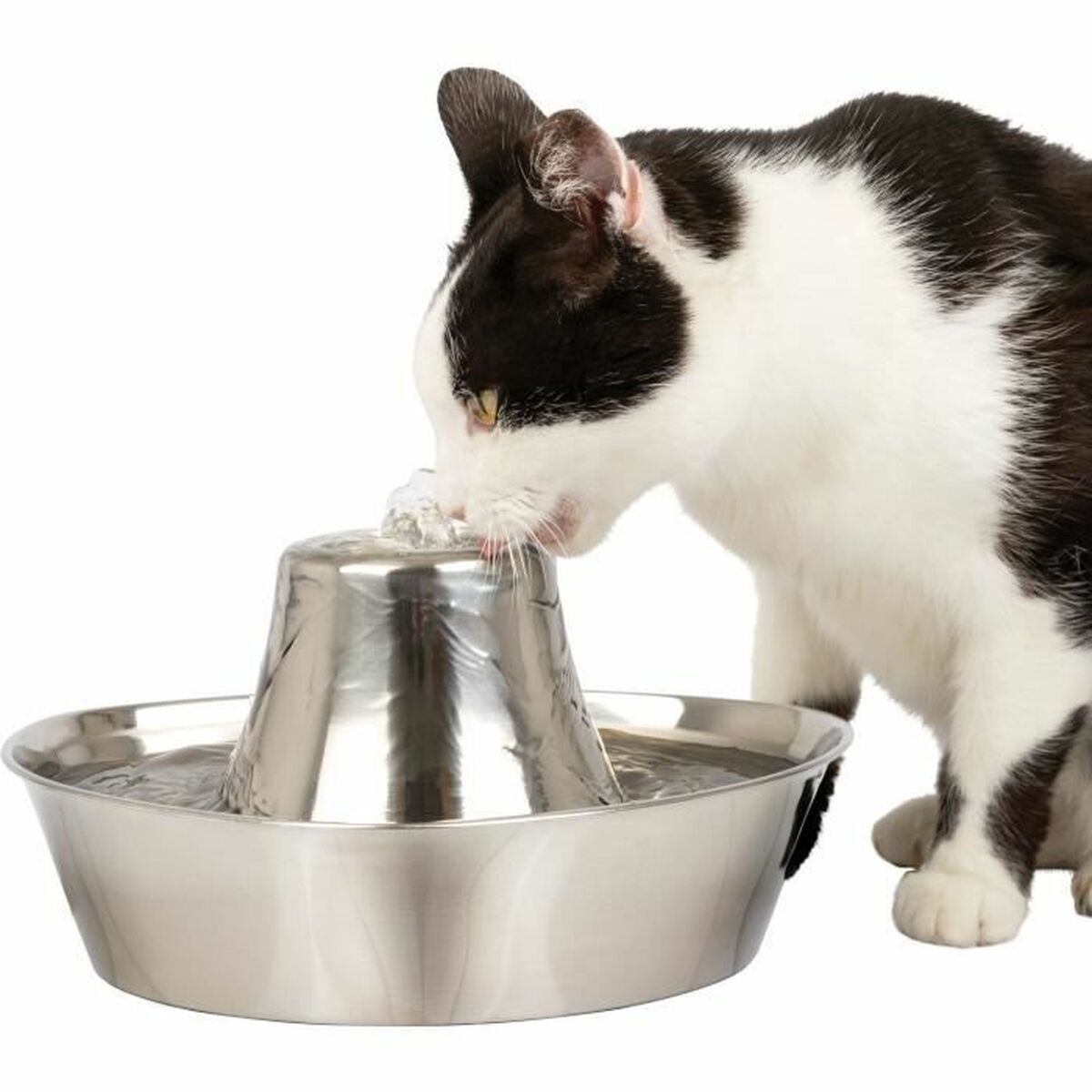 Dog Feeder PetSafe Silver Stainless steel 1,8 L Dog Feeder PetSafe Silver Stainless steel 1,8 L