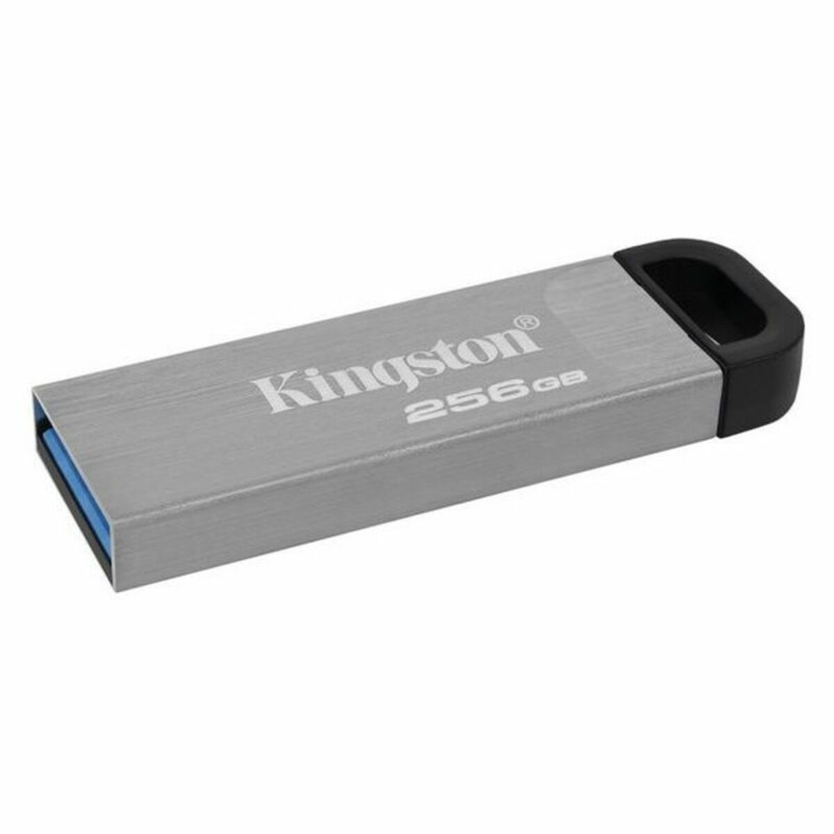 Pendrive Kingston DTKN/256GB USB 3.2 Silver Black 256 GB