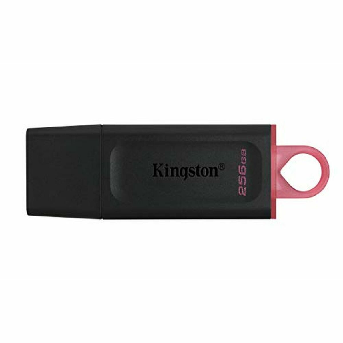 USB stick Kingston DTX Black 256 GB