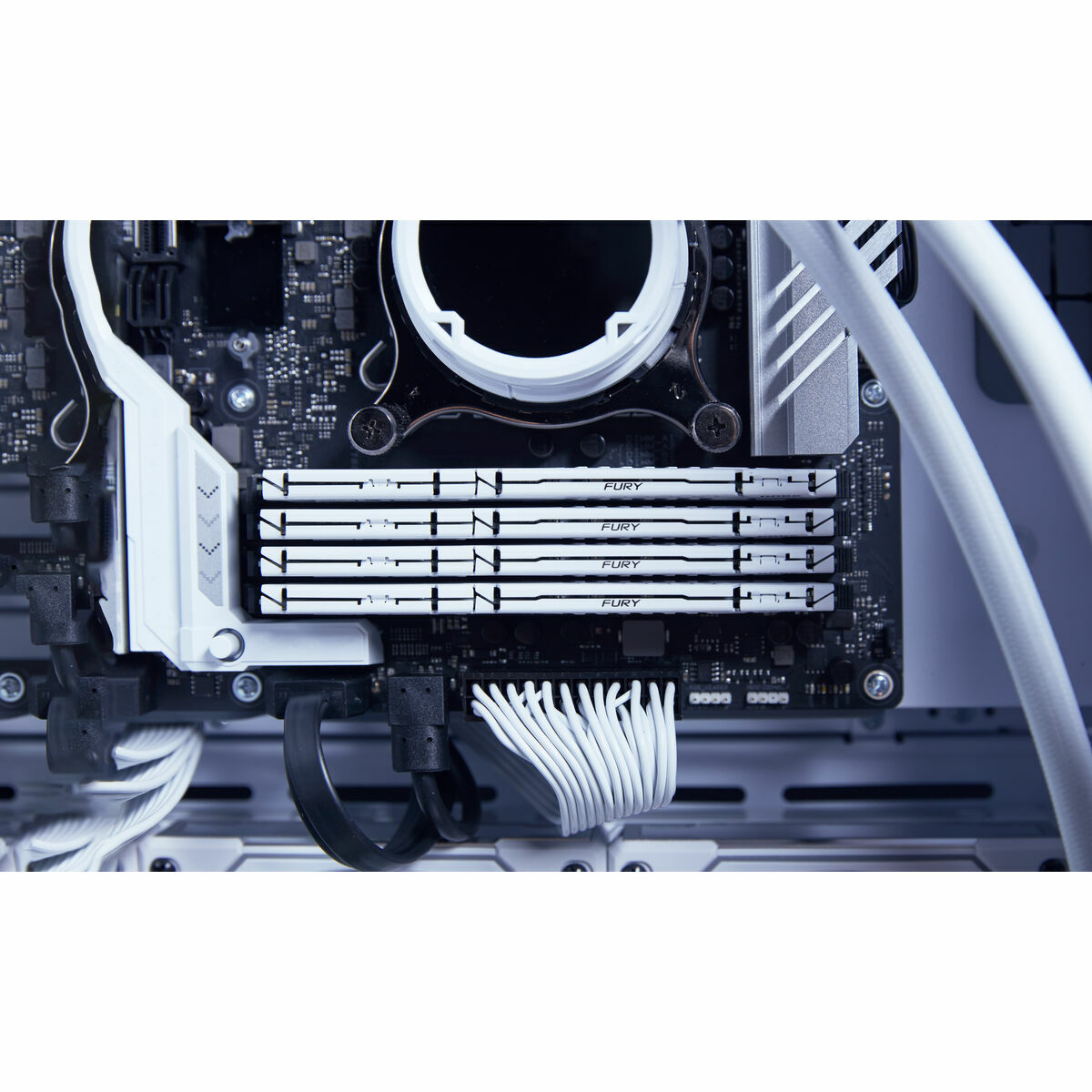 RAM Memory Kingston KF560C30BWEK2-32 32 GB DDR5 SDRAM DDR5 cl30