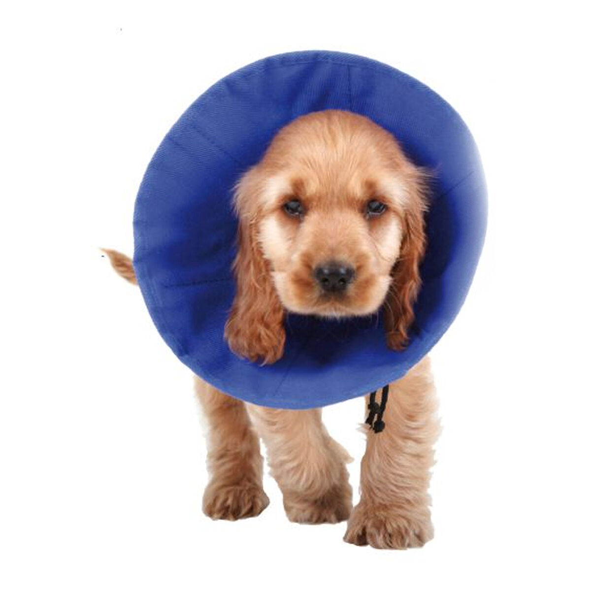 Elizabethan Dog Collar KVP EZ Soft Blue (30-50 cm) Elizabethan Dog Collar KVP EZ Soft Blue (30-50 cm)