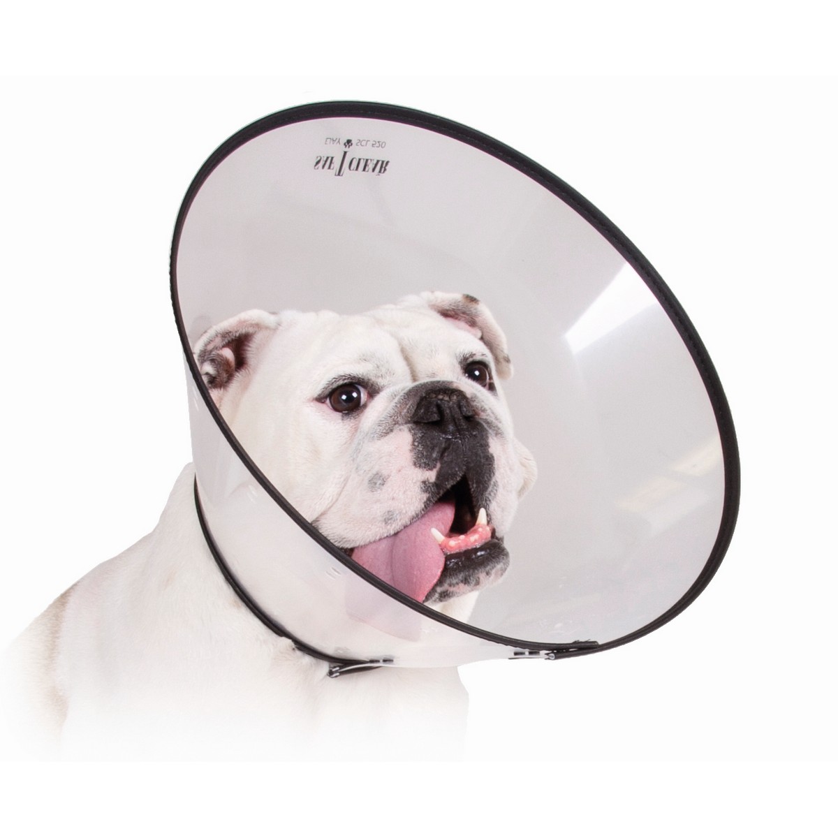 Elizabethan Dog Collar KVP Saf-T-Clear (38-63 cm) Elizabethan Dog Collar KVP Saf-T-Clear (38-63 cm)