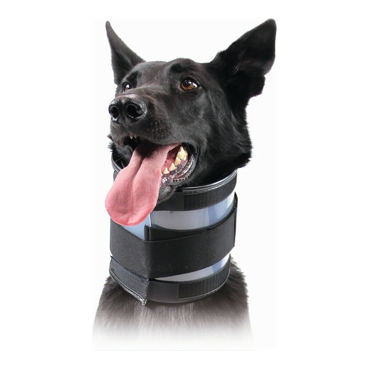 Cervical Collar for Dogs KVP Black (13-48 cm) Cervical Collar for Dogs KVP Black (13-48 cm)