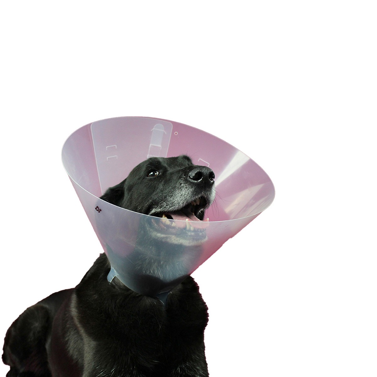 Elizabethan Dog Collar KVP Betsy (33-40 cm) Elizabethan Dog Collar KVP Betsy (33-40 cm)