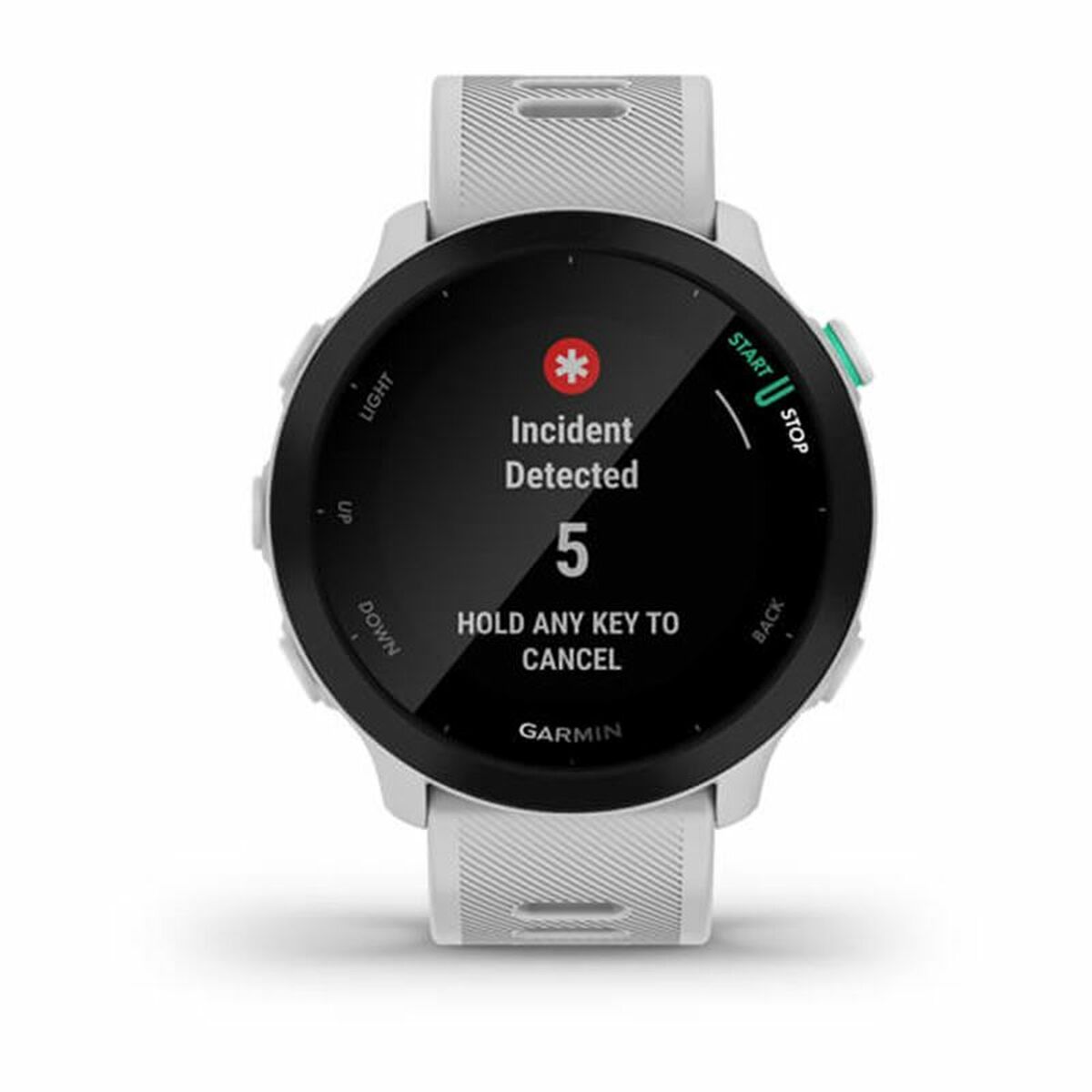 Smartwatch GARMIN Forerunner 55 White 1,04″