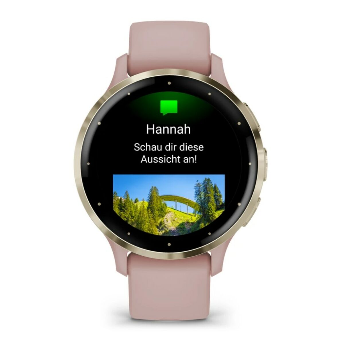 Men’s Watch GARMIN 010-02785-03 Gold Pink