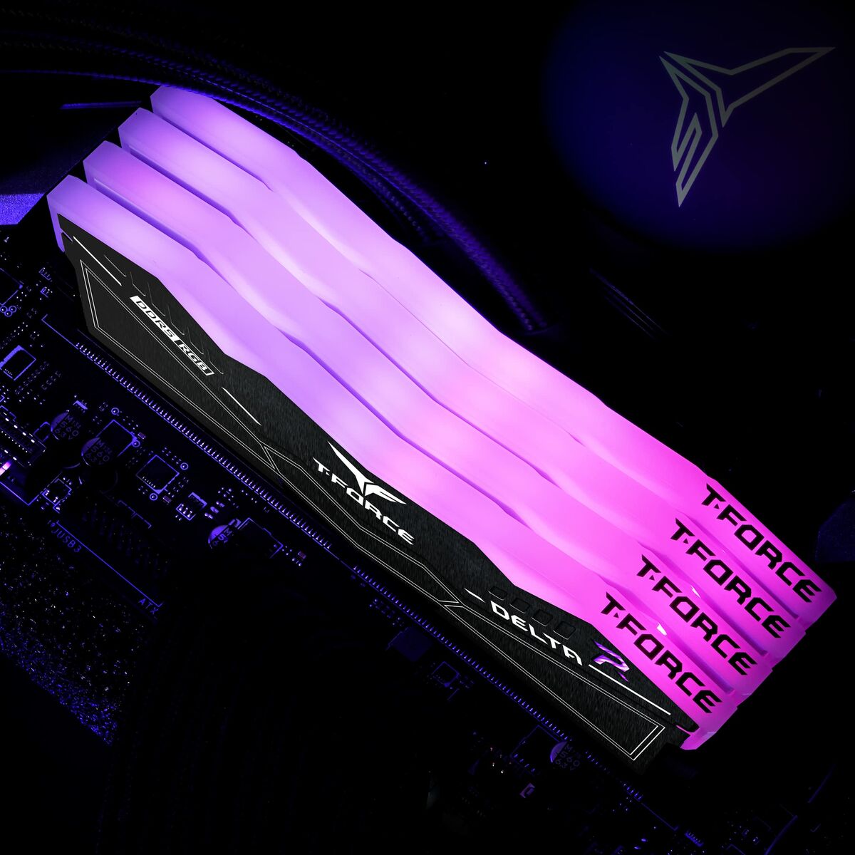 RAM Memory Team Group FF3D532G6000HC30DC01 32 GB DDR5 SDRAM DDR5
