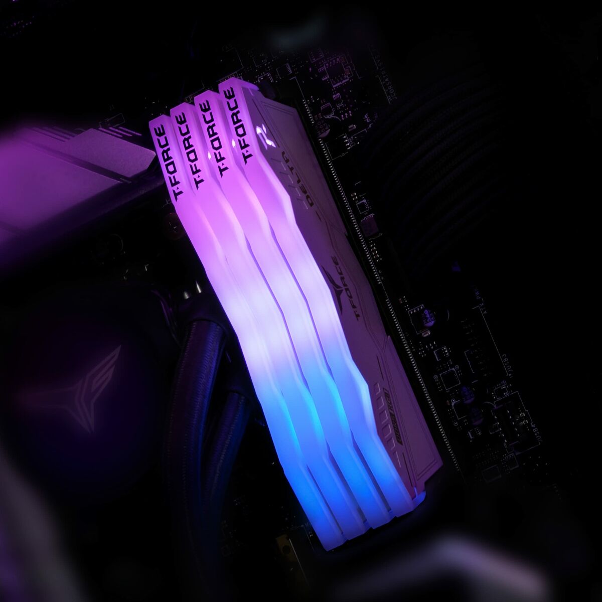 RAM Memory Team Group FF4D532G7200HC34ADC01 32 GB DDR5 SDRAM DDR5