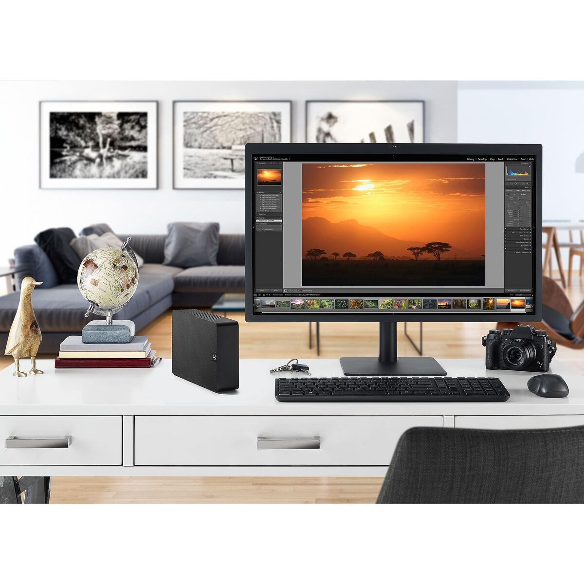 External Hard Drive Seagate STKP22000400 Black 22 TB