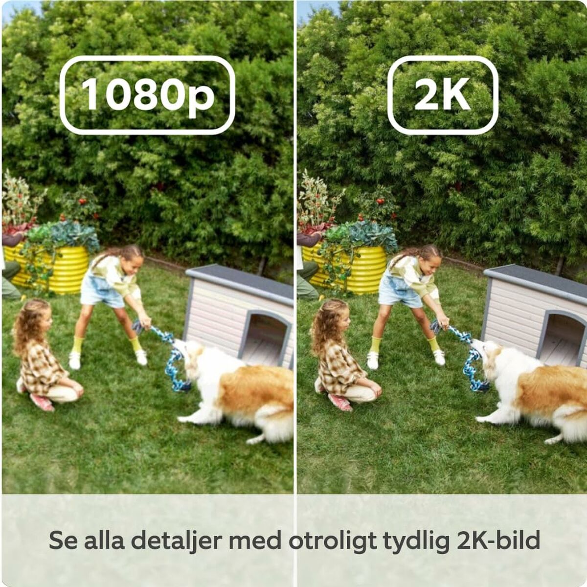 Surveillance Camcorder Amazon B0D23Y1N3Y