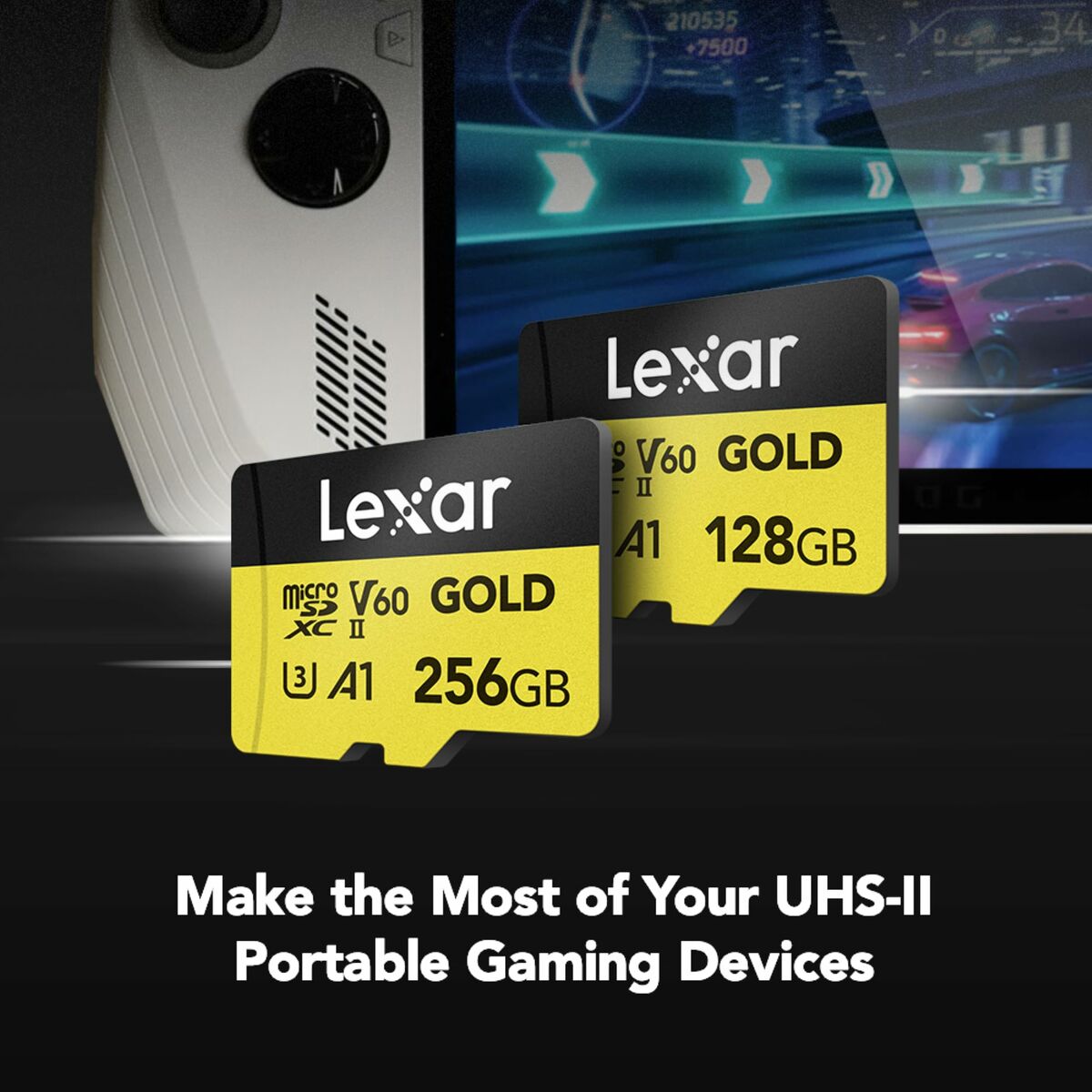 SD Memory Card Lexar LMSGOLD256G-BNNNG 256 GB