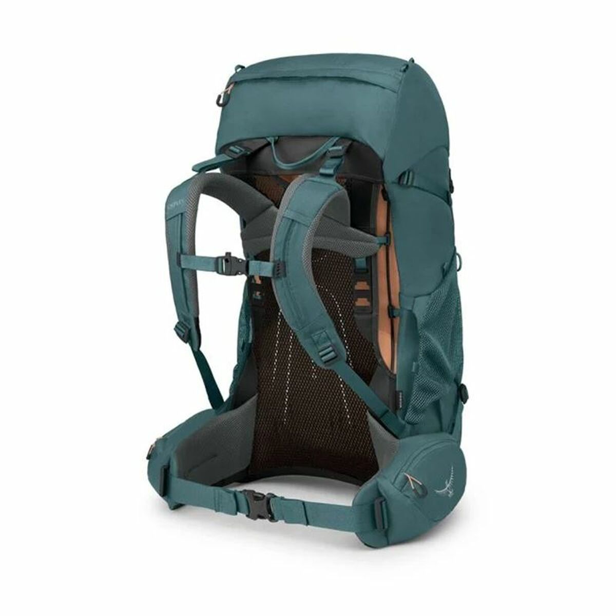 Gym Bag Osprey Renn  Light Blue 50 L