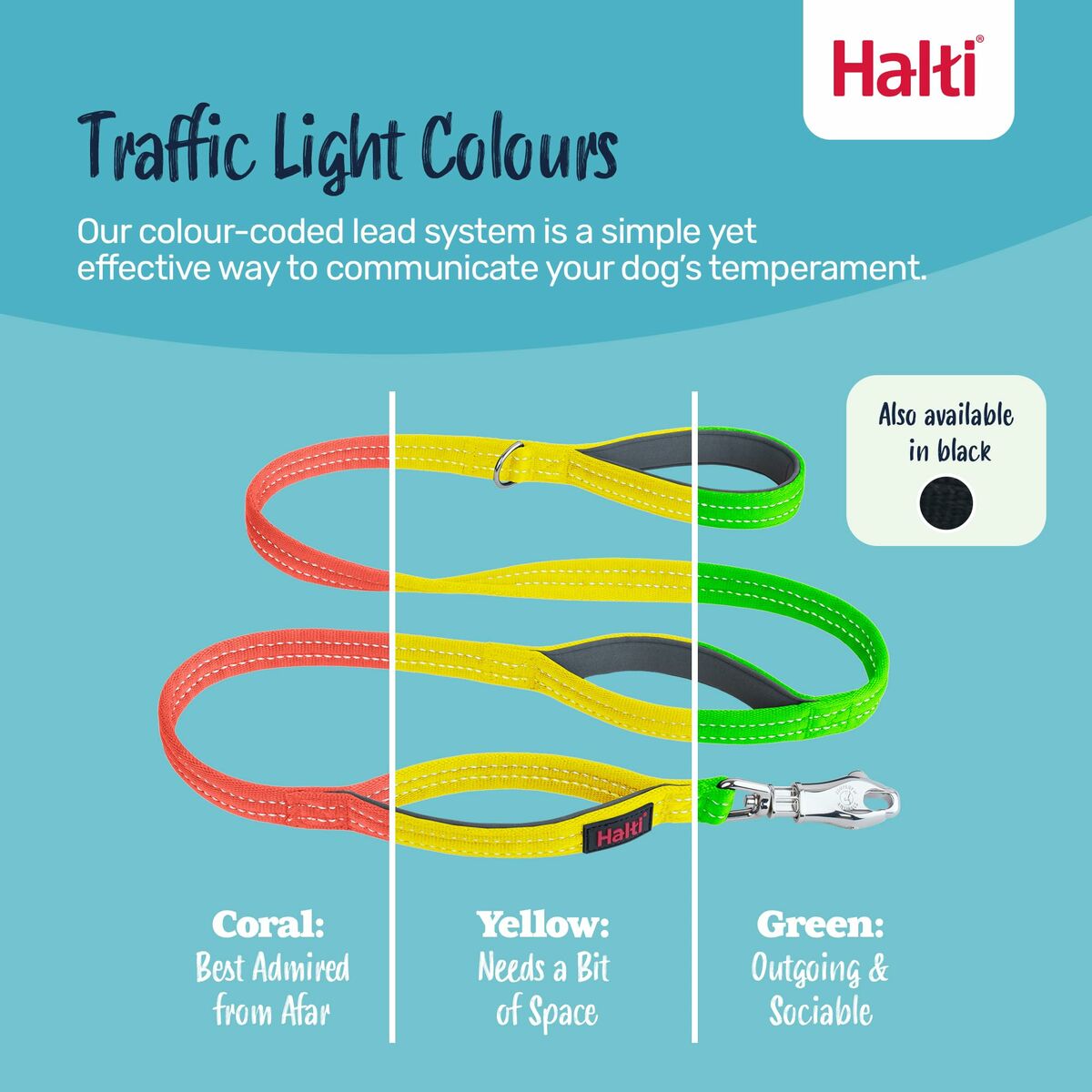 Training lead Company of Animals HALTI BRIG SAFETY Black