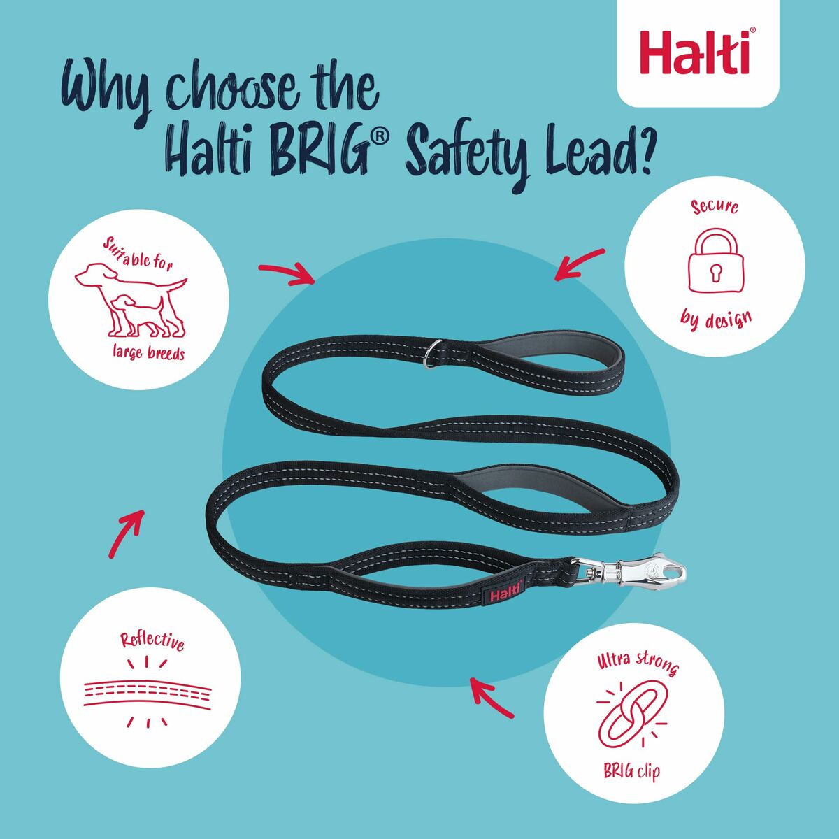 Training lead Company of Animals HALTI BRIG SAFETY Black