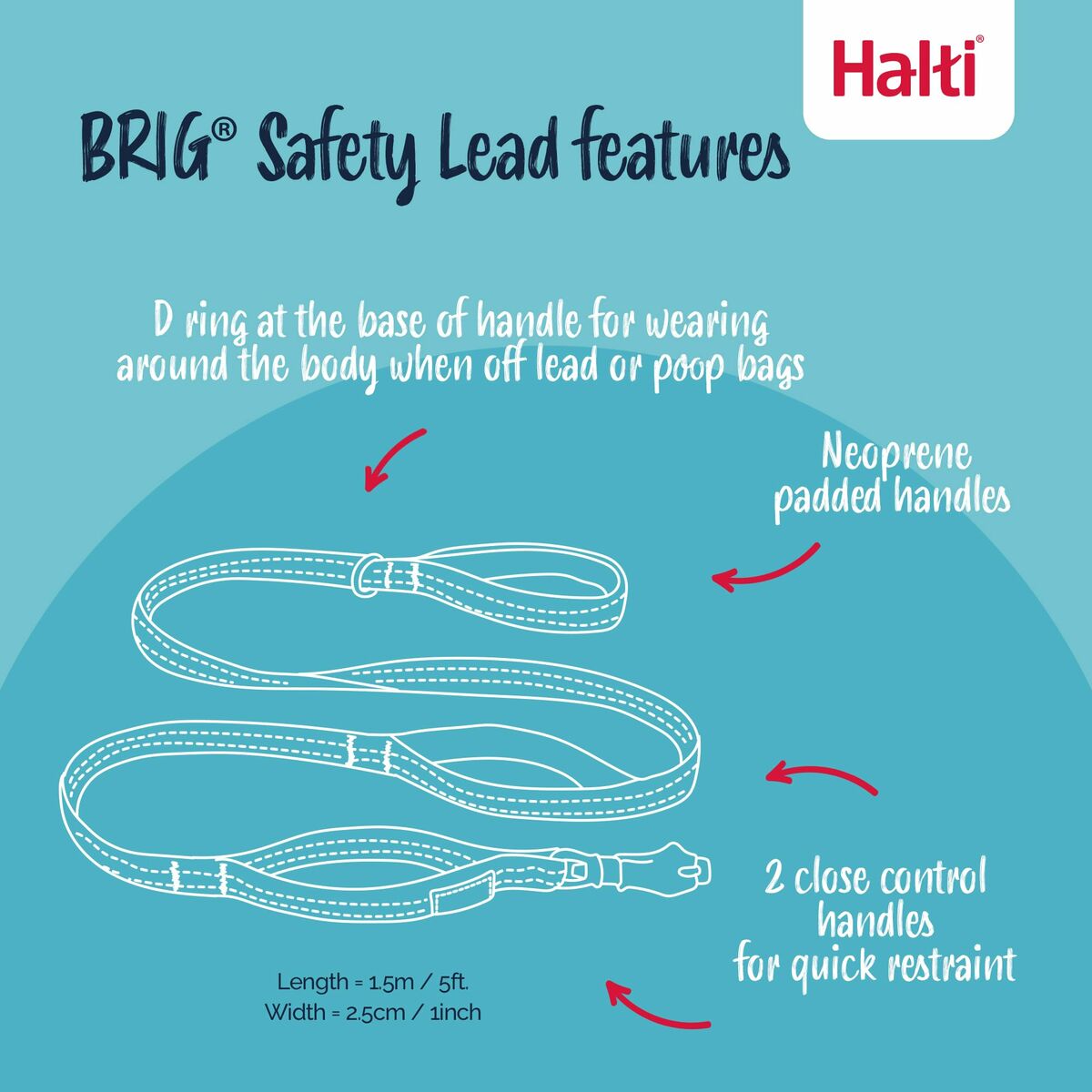 Training lead Company of Animals HALTI BRIG SAFETY Black