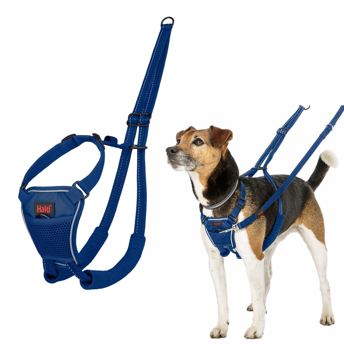 Dog Harness Company of Animals Blue 20 Dog Harness Company of Animals Blue 20