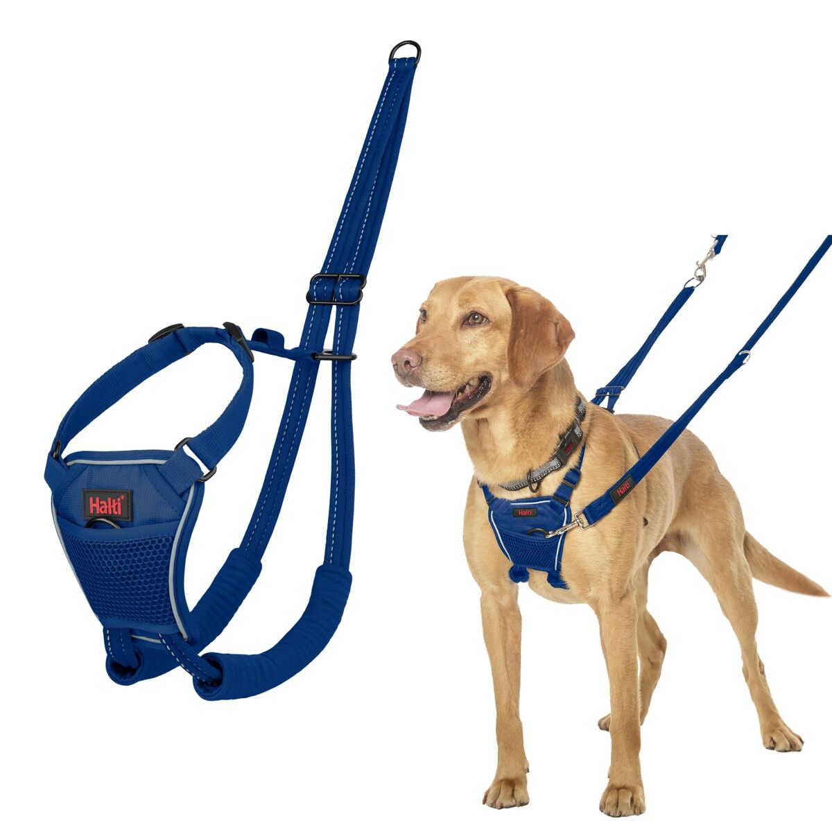 Dog Harness Company of Animals Blue 12 Dog Harness Company of Animals Blue 12