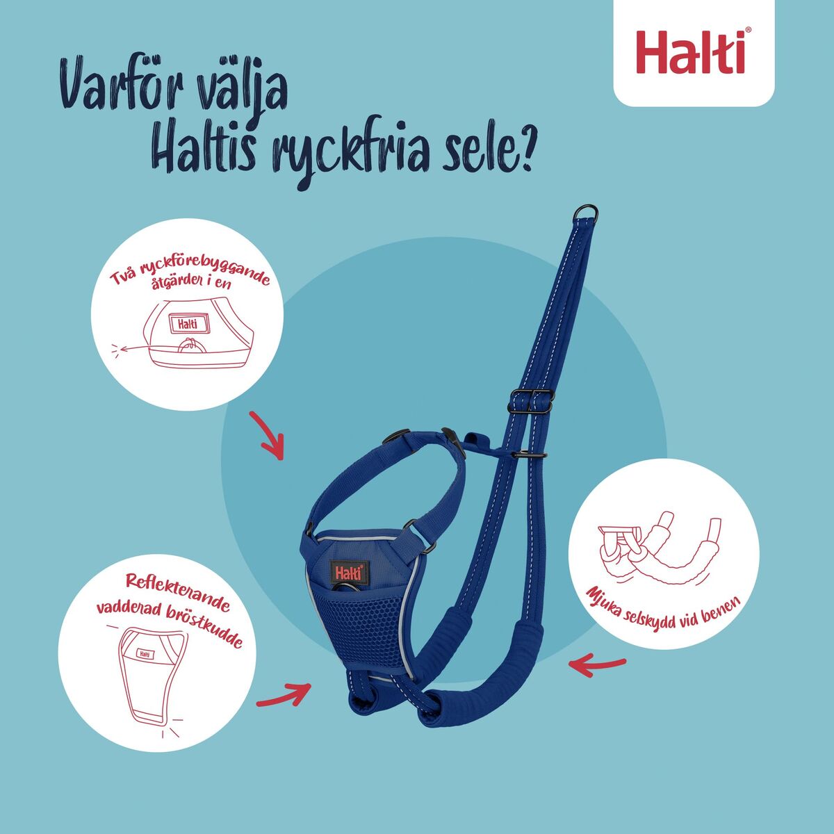 Dog Harness Company of Animals Blue L