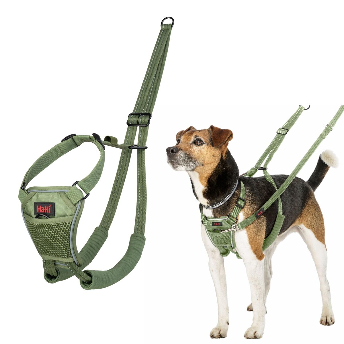 Dog Harness Company of Animals 20 Dog Harness Company of Animals 20
