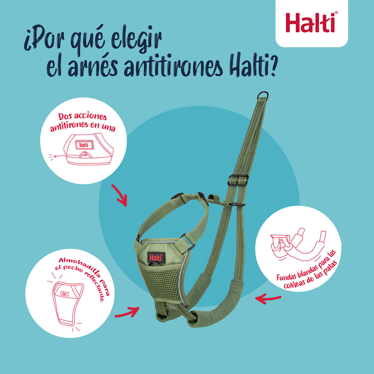 Dog Harness Company of Animals 12