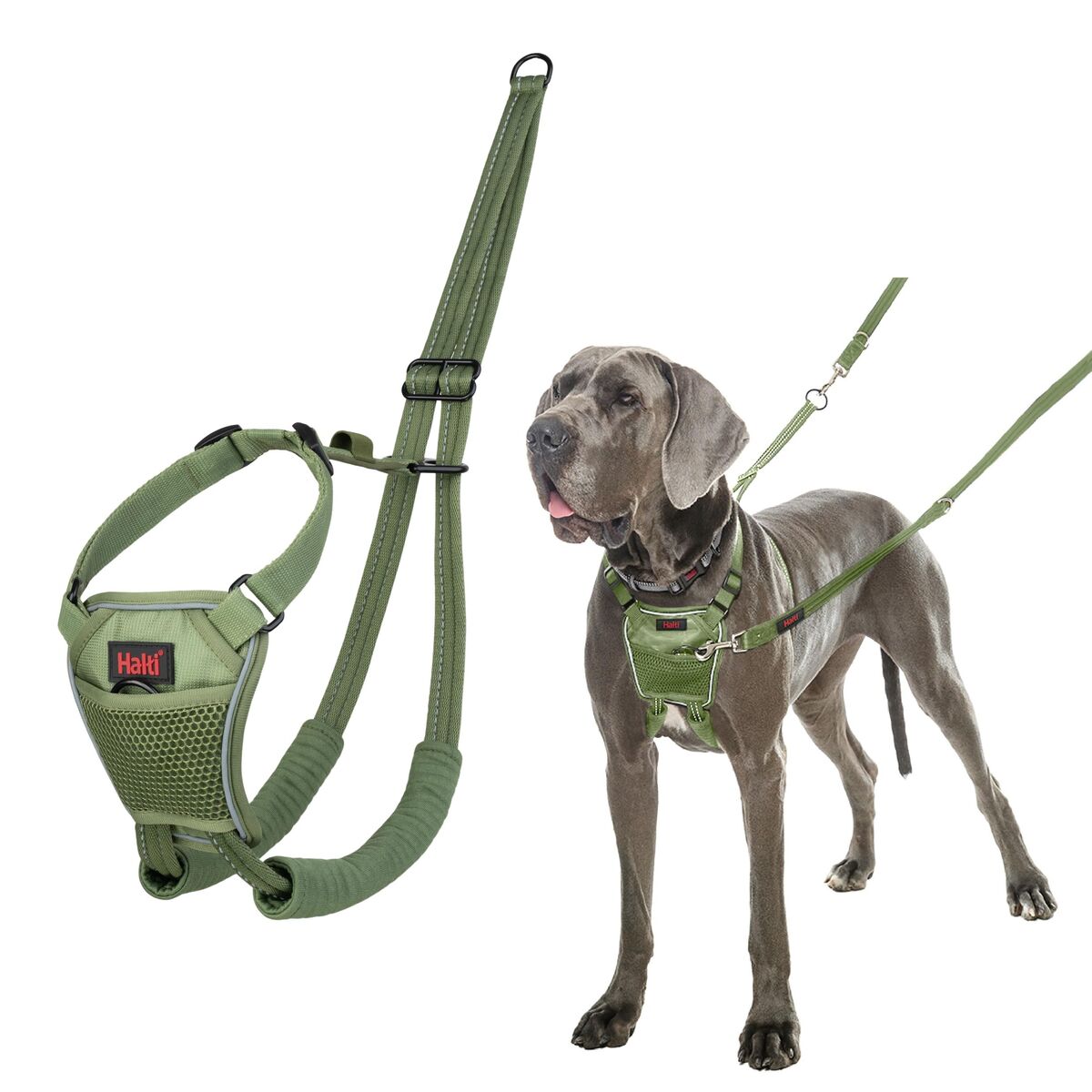 Dog Harness Company of Animals L
