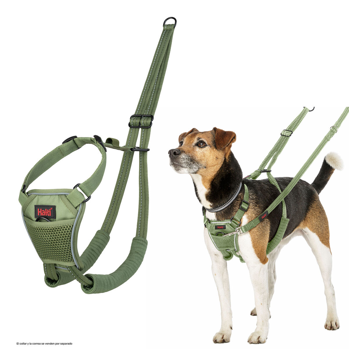 Dog Harness Company of Animals L