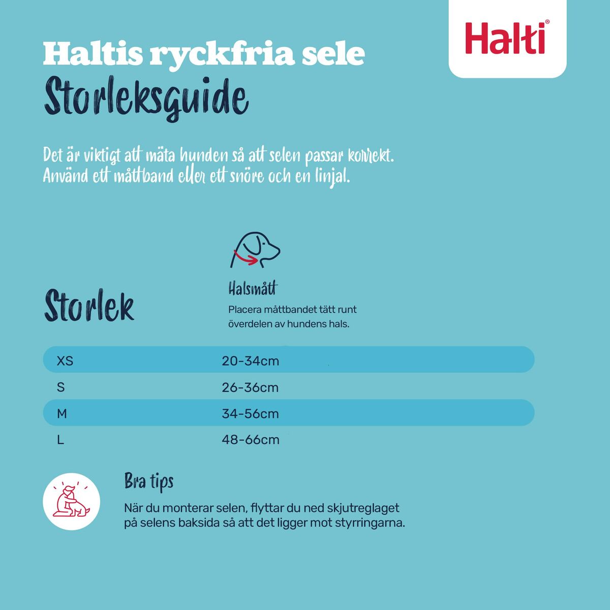 Dog Harness Company of Animals Orange 20