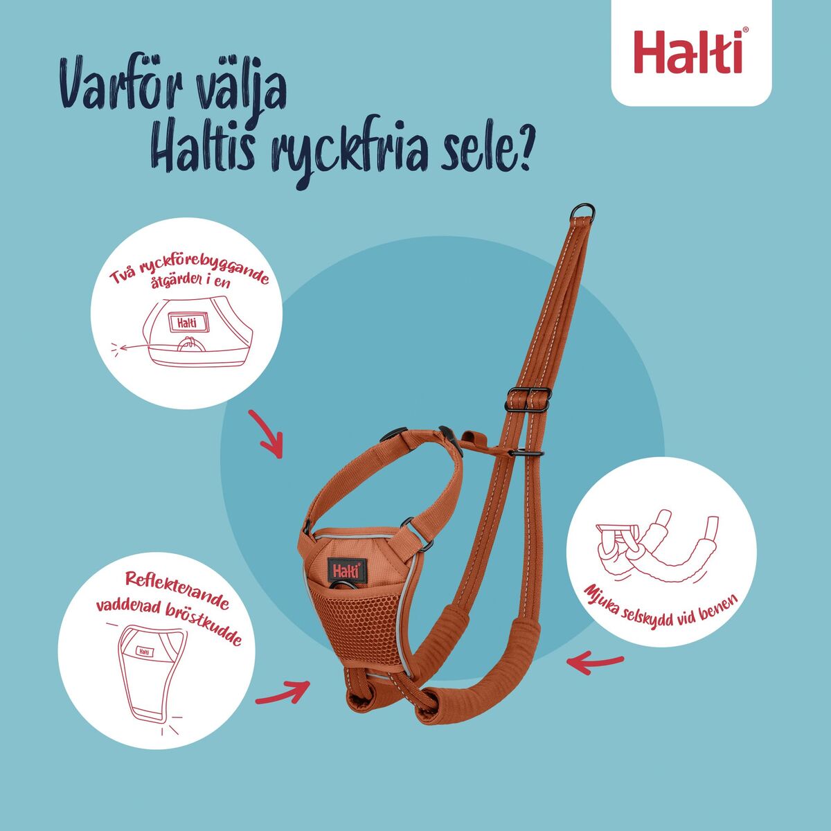 Dog Harness Company of Animals Orange 20