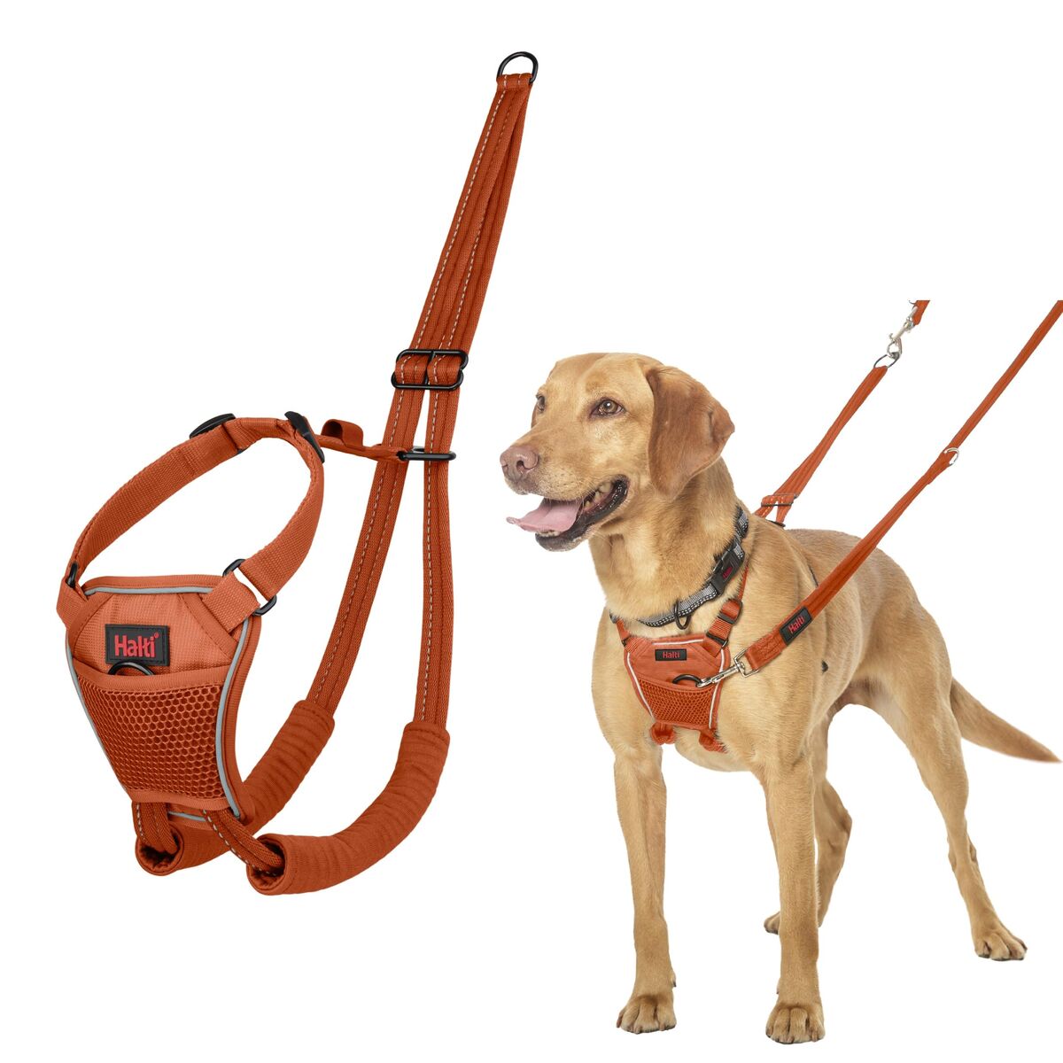 Dog Harness Company of Animals Orange 12 Dog Harness Company of Animals Orange 12