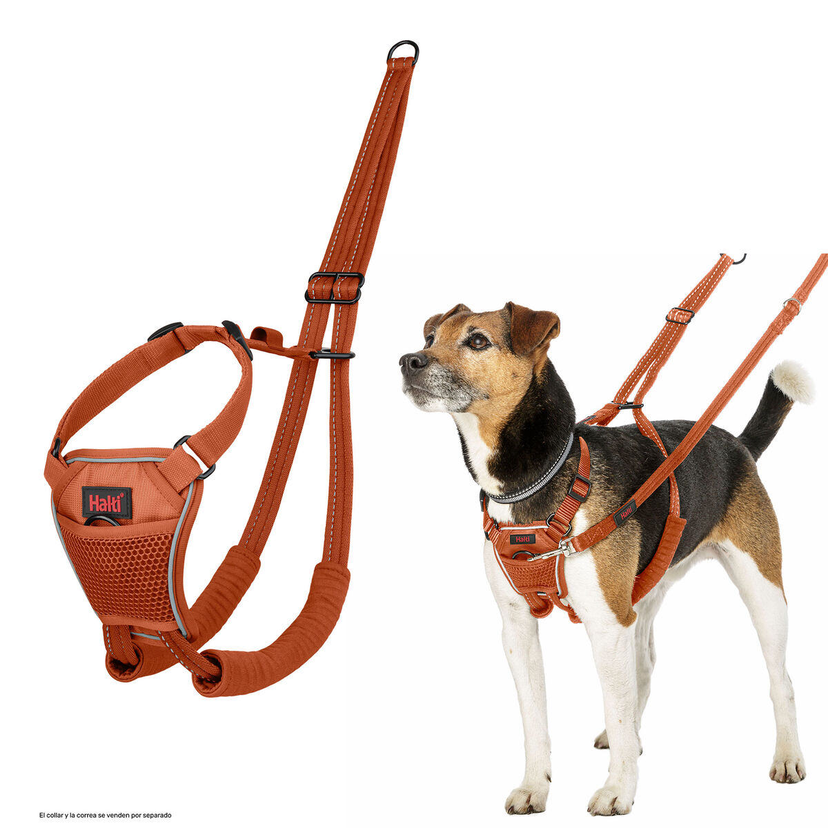Dog Harness Company of Animals Orange 12