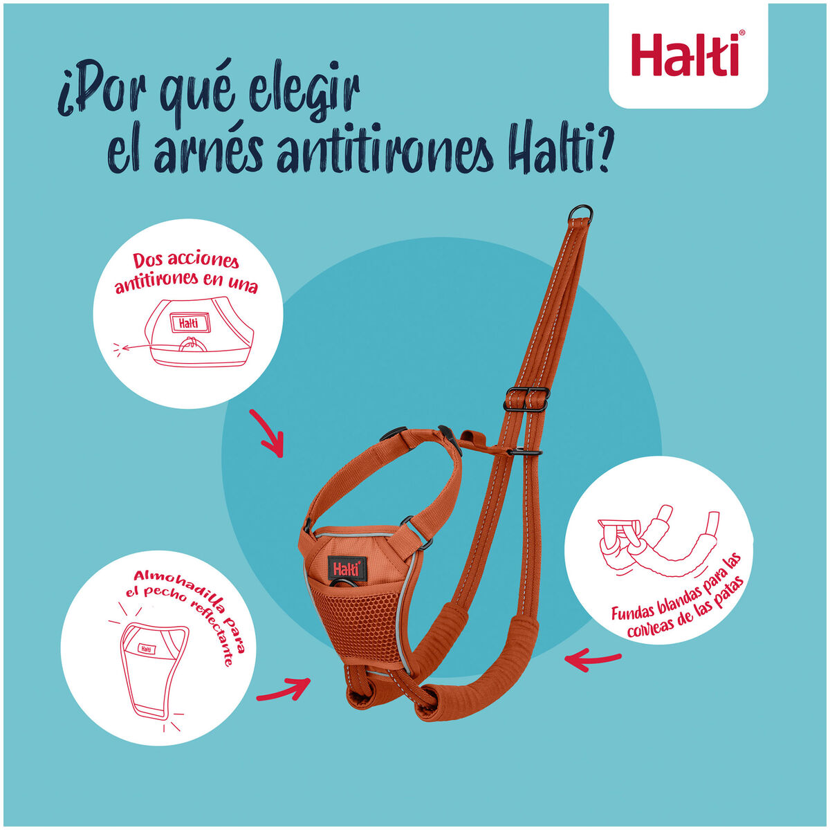 Dog Harness Company of Animals Orange L