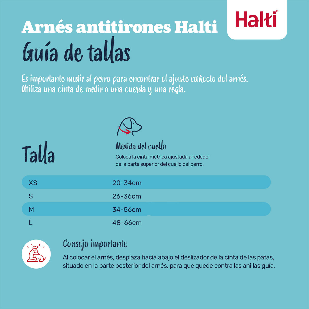 Dog Harness Company of Animals Orange L