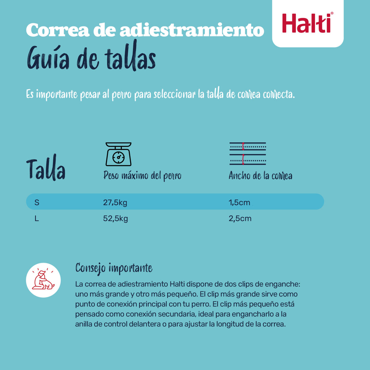 Tracking leash Company of Animals Green