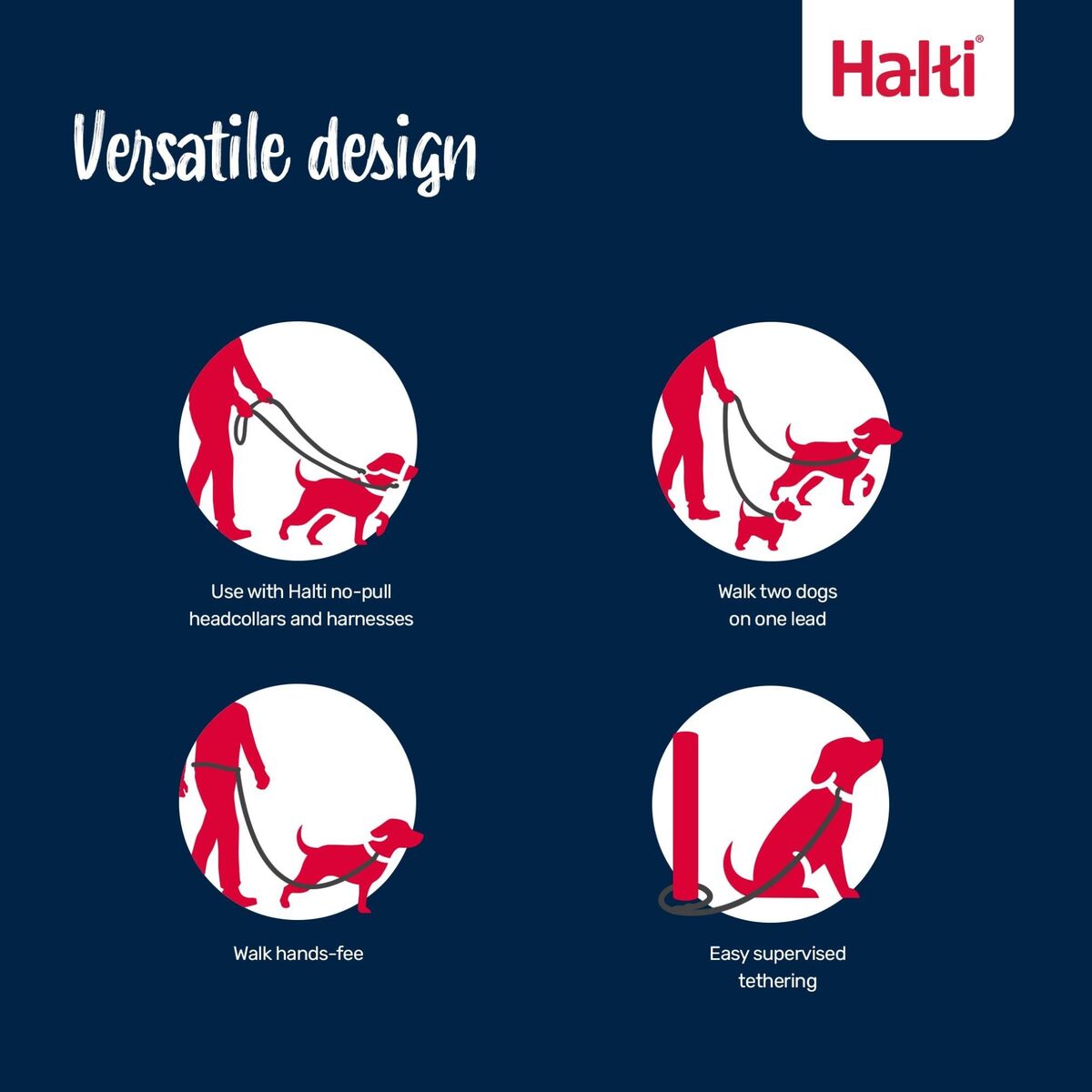 Training lead Company of Animals BURNT Orange