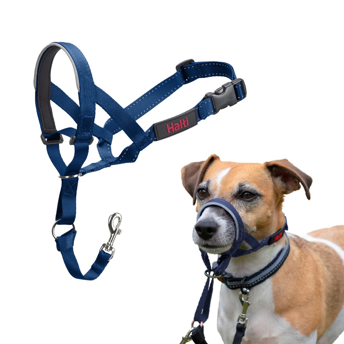 Dog Harness Company of Animals Blue Size 1 Dog Harness Company of Animals Blue Size 1