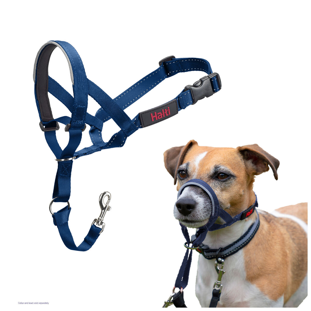 Dog Harness Company of Animals Blue 2