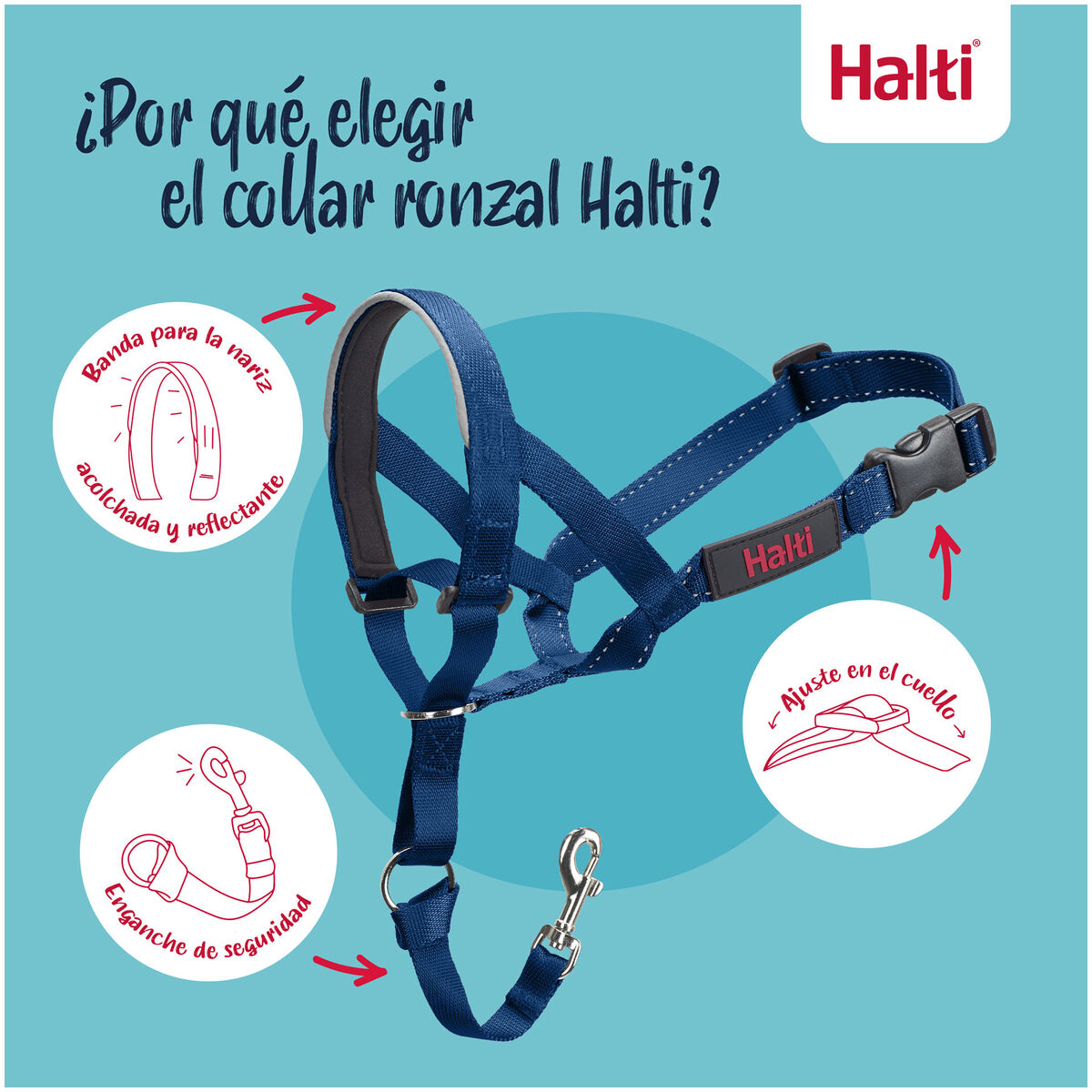 Dog Harness Company of Animals Blue 2