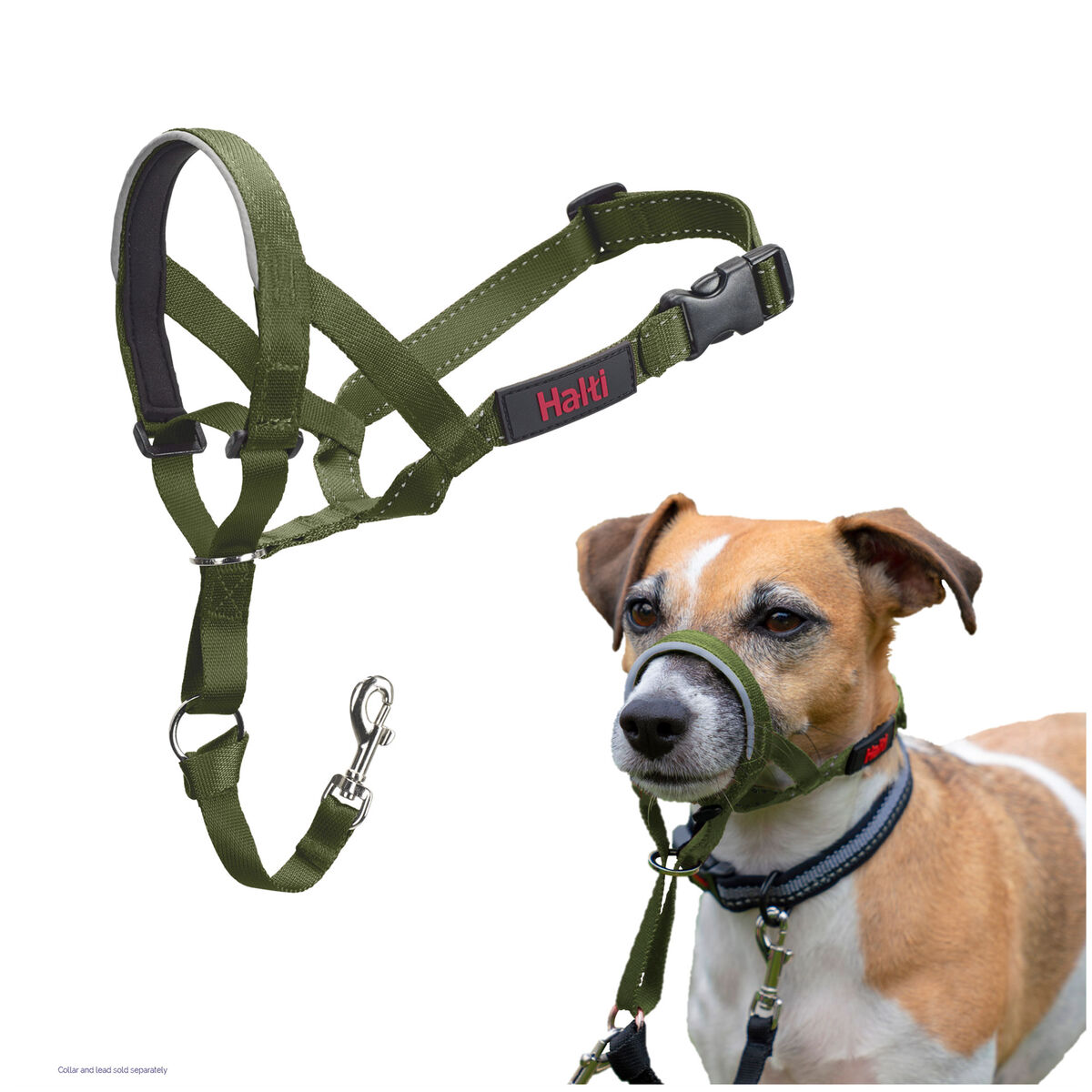 Muzzle Company of Animals FOREST Green 2