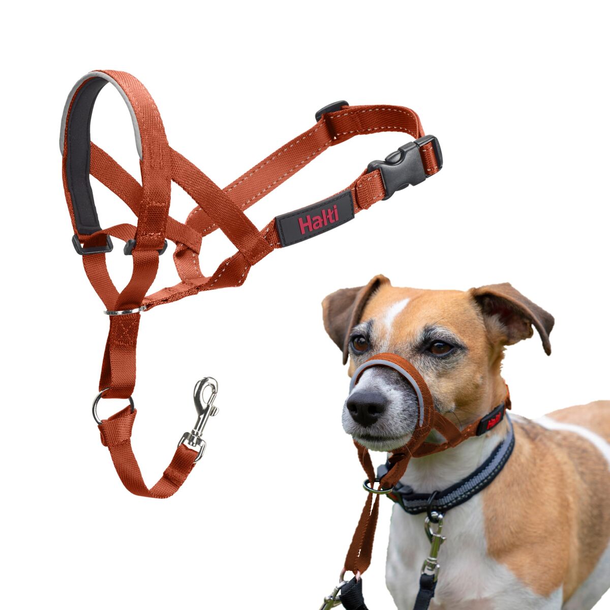 Muzzle Company of Animals BURNT Orange Size 1 Muzzle Company of Animals BURNT Orange Size 1