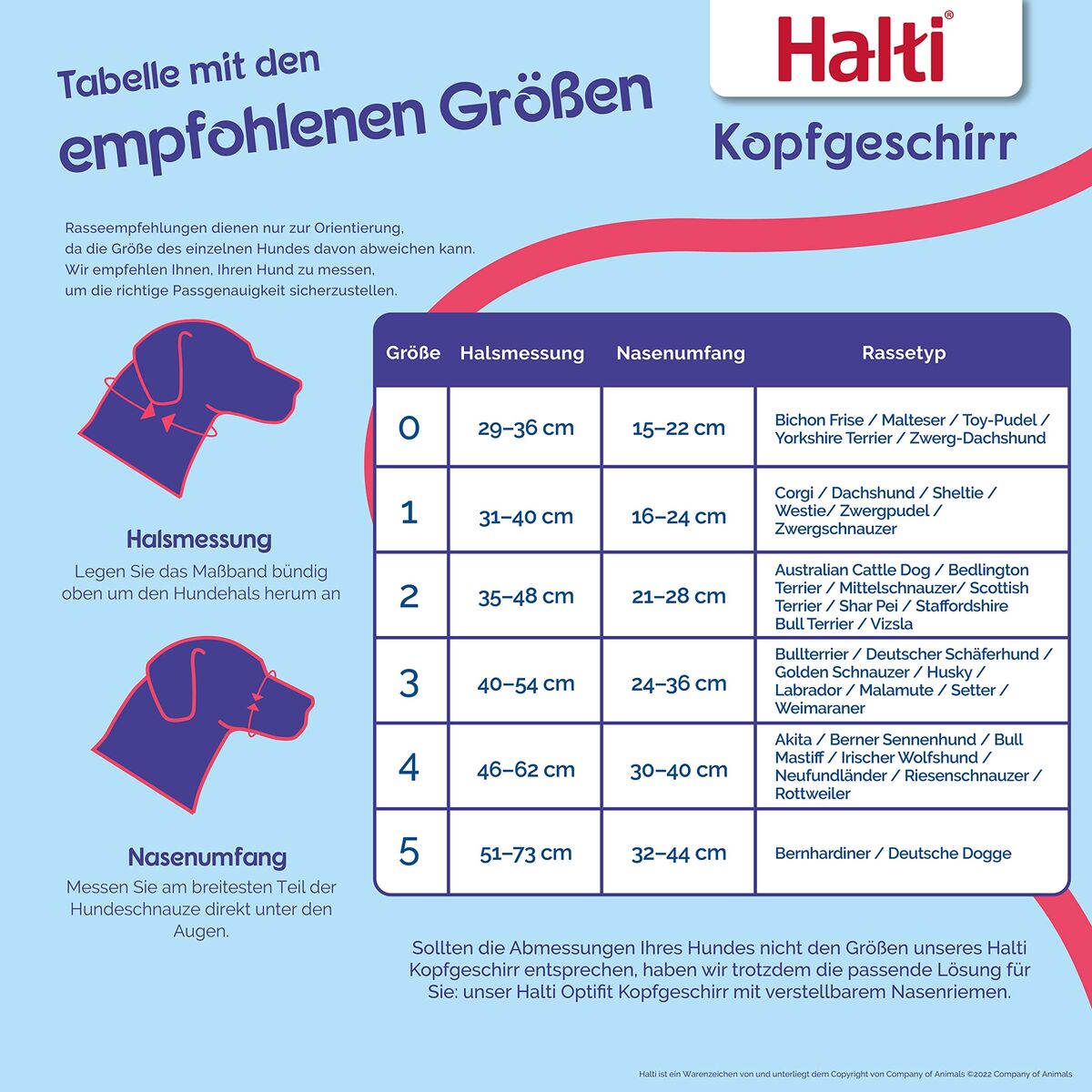 Muzzle Company of Animals BURNT Orange 3