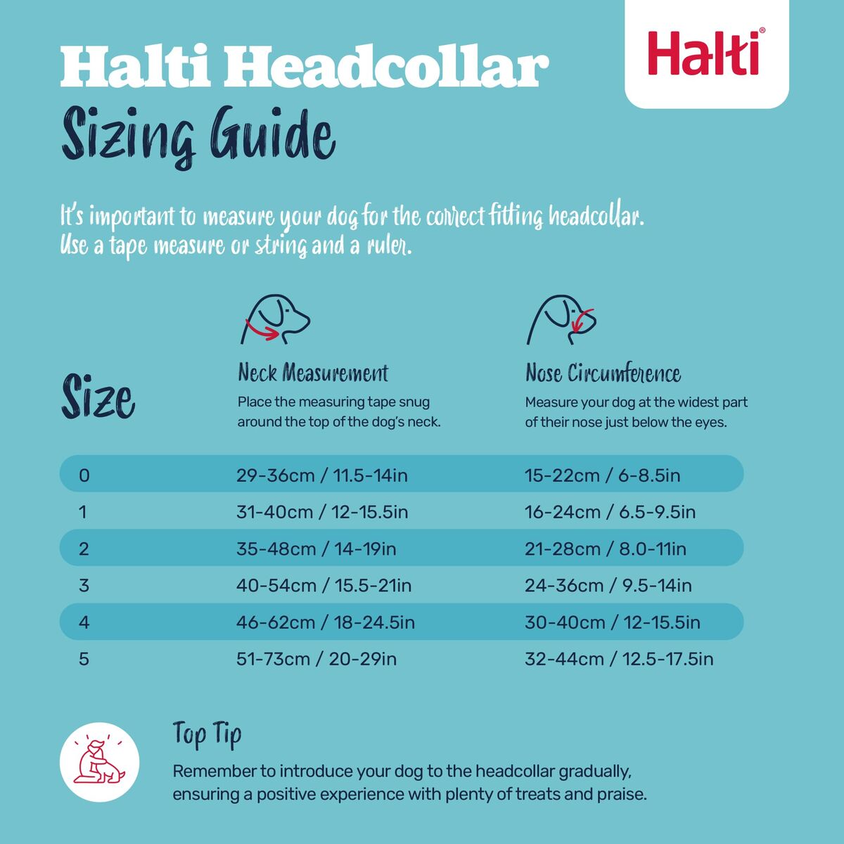 Muzzle Company of Animals BURNT Orange 4