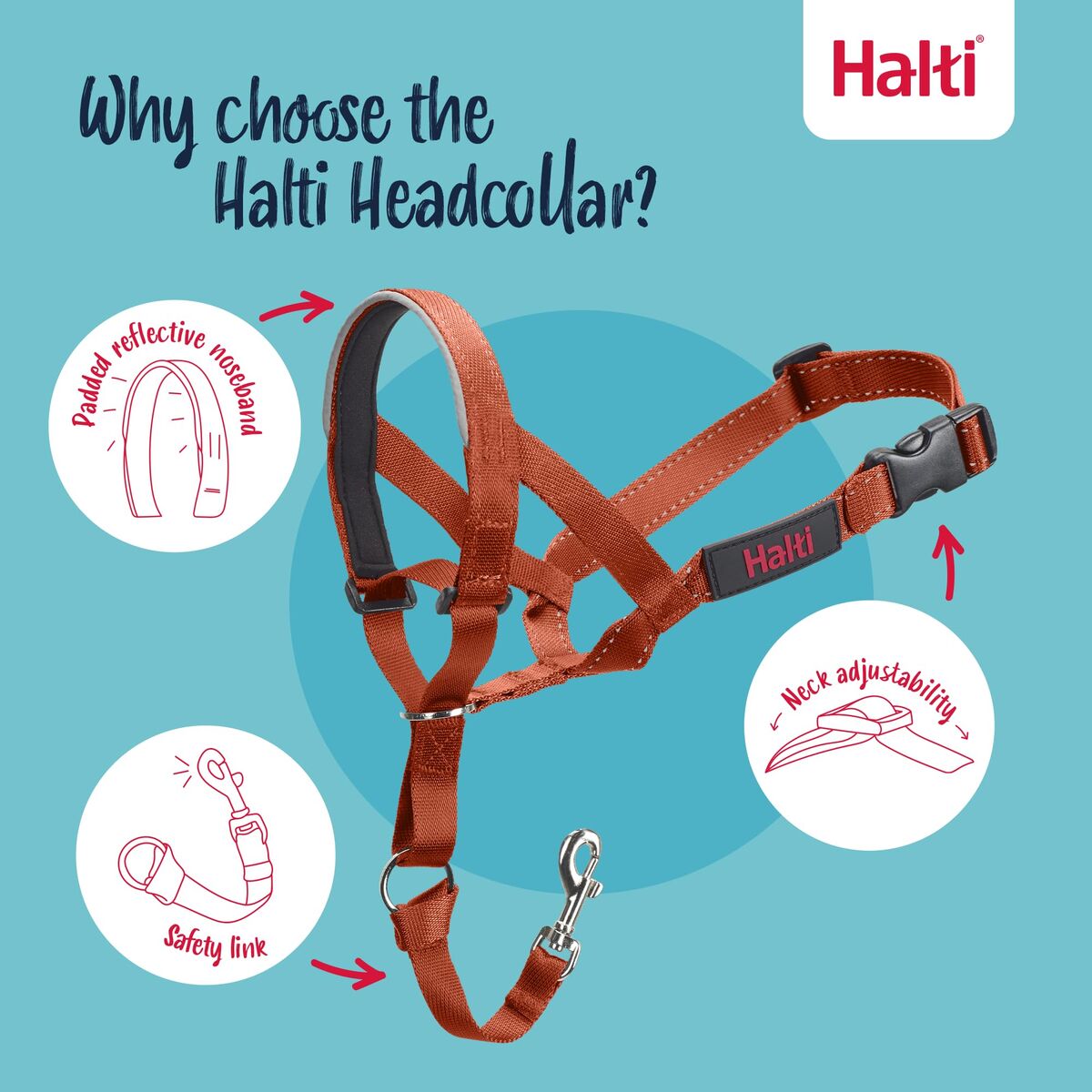 Muzzle Company of Animals BURNT Orange 4