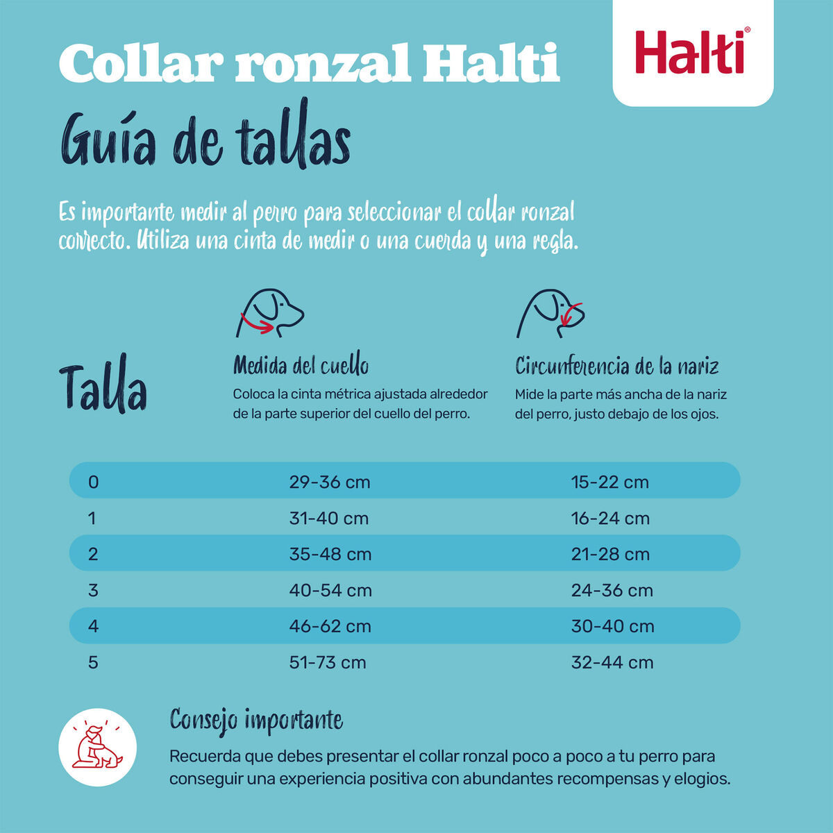 Muzzle Company of Animals BURNT Orange 4