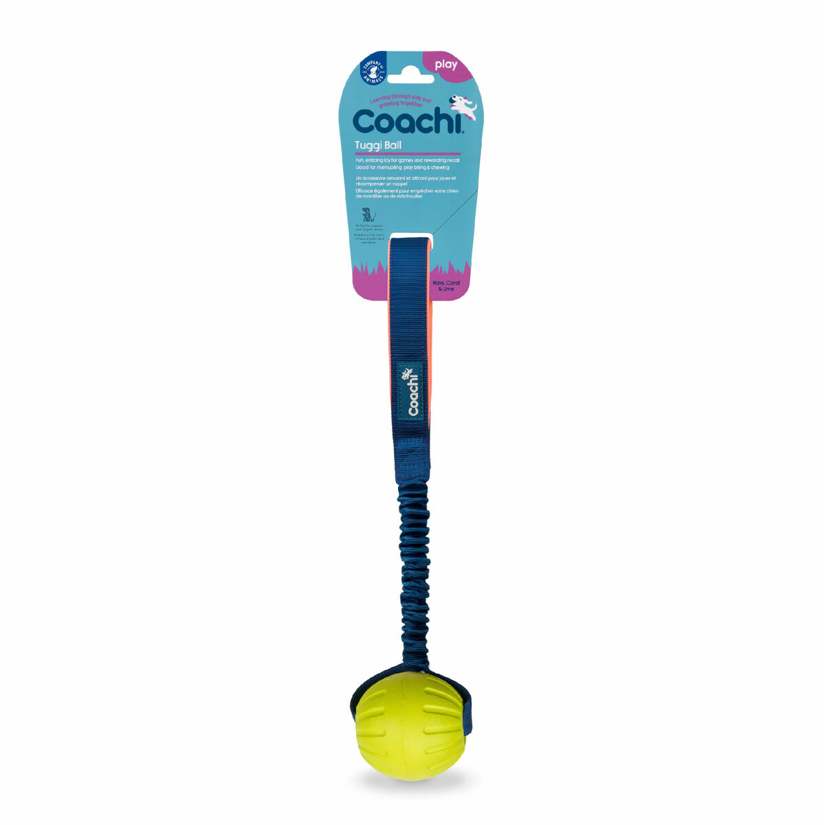 Training toy Coachi TUGGI BALL Blue Training toy Coachi TUGGI BALL Blue