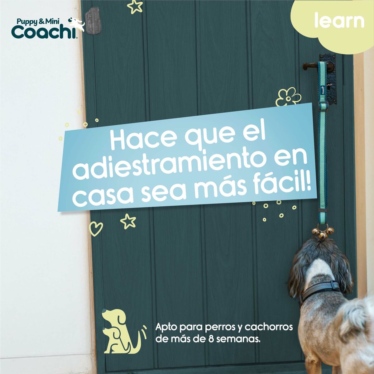 Dog Harness Coachi Dog Harness Coachi