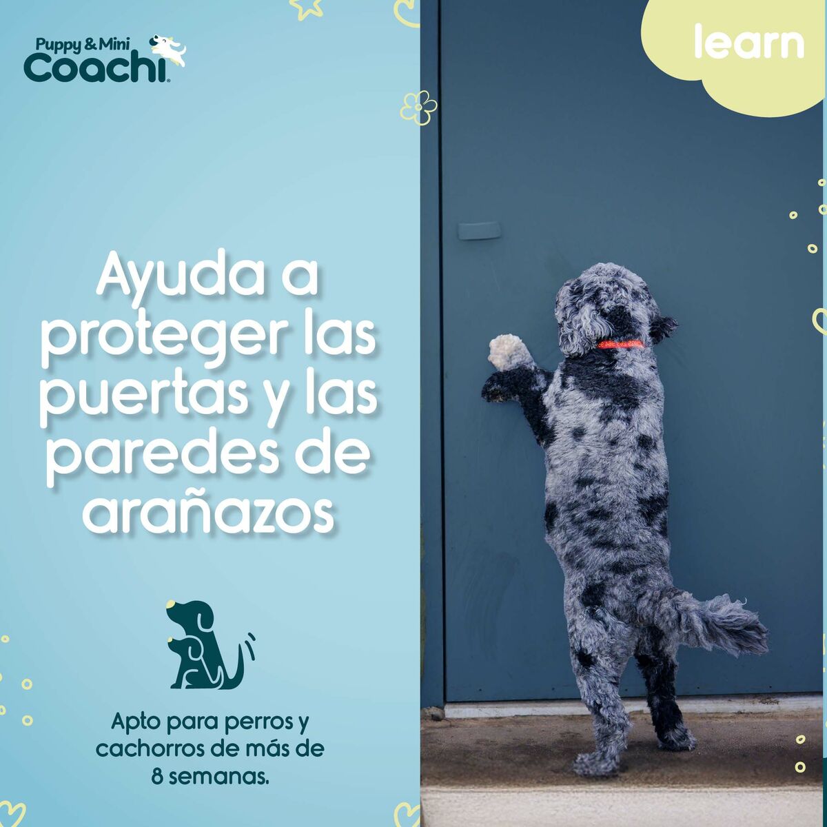 Dog Harness Coachi