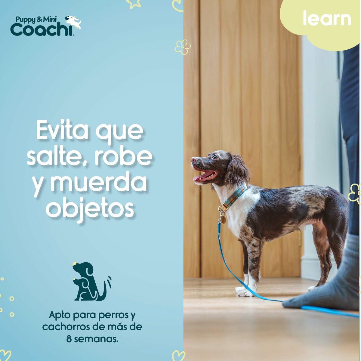 Dog Harness Coachi Dog Harness Coachi