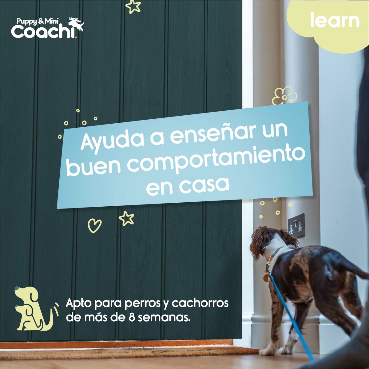 Dog Harness Coachi