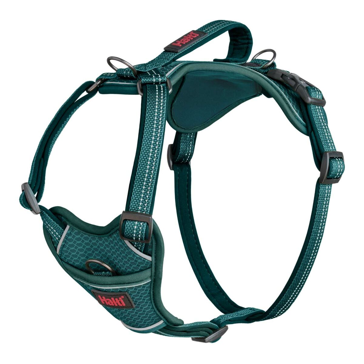 Dog Harness Company of Animals Turquoise L 42-65 cm Dog Harness Company of Animals Turquoise L 42-65 cm